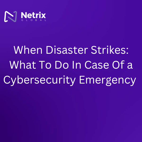 When Disaster Strikes: What To Do In Case Of a Cybersecurity Emergency